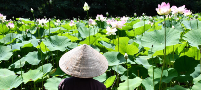 Fenomena yang Mengejutkan
